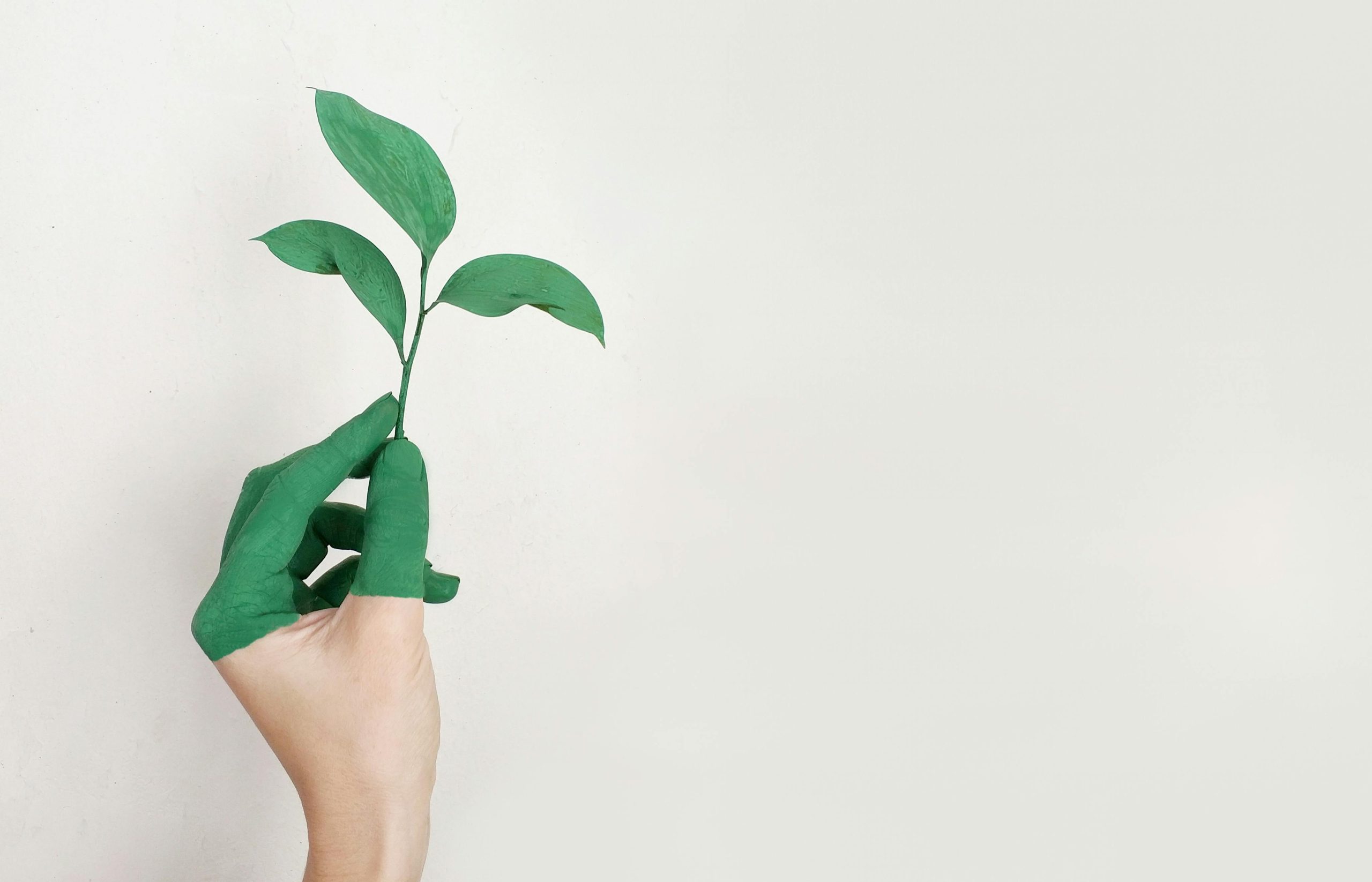 The Hidden Health Benefits of a Clean Home and Workplace