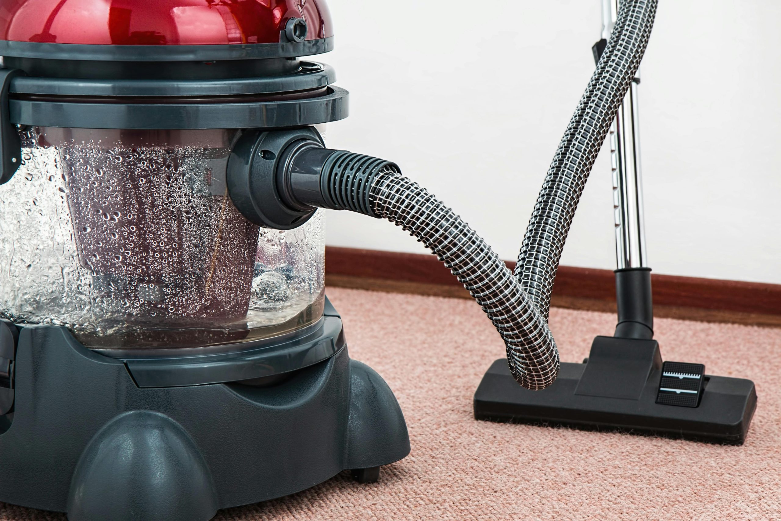 Carpet Care 101: How to Extend the Life of Your Carpets